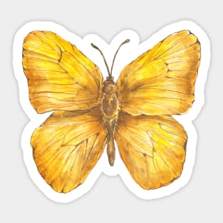 yellow butterfly Sticker